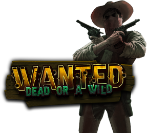 wanted dead or a wild graphic